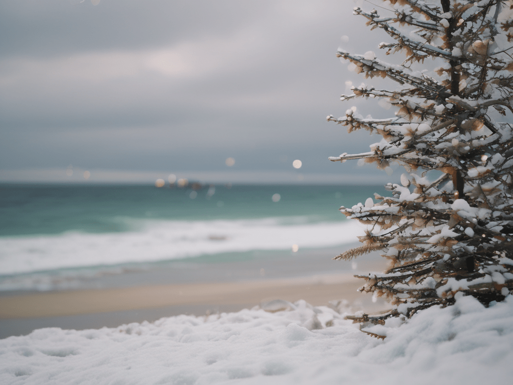 The Pretty Beach Christmas Trilogy&nbsp;(S2)